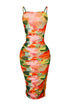 California Coastline Print Mesh Dress